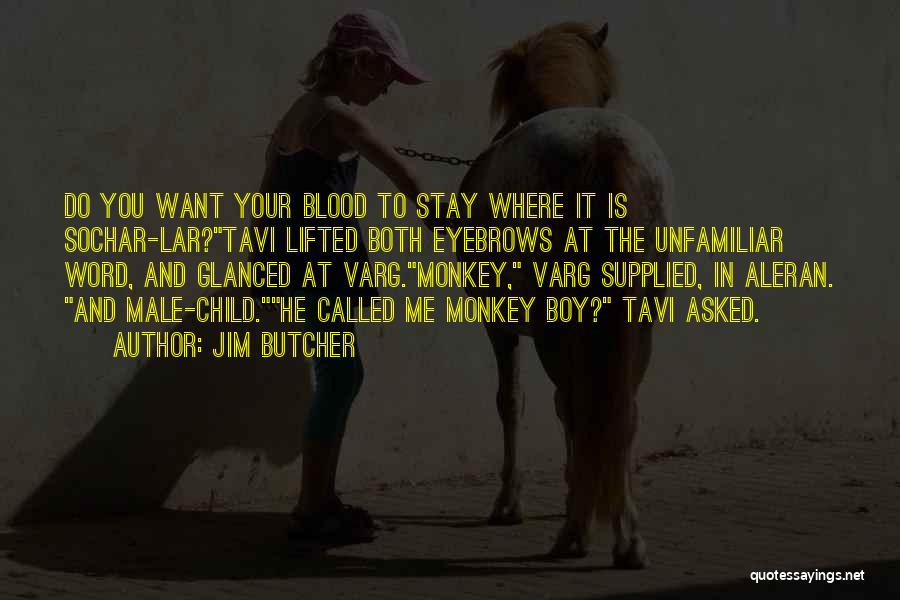Jim Butcher Quotes: Do You Want Your Blood To Stay Where It Is Sochar-lar?tavi Lifted Both Eyebrows At The Unfamiliar Word, And Glanced