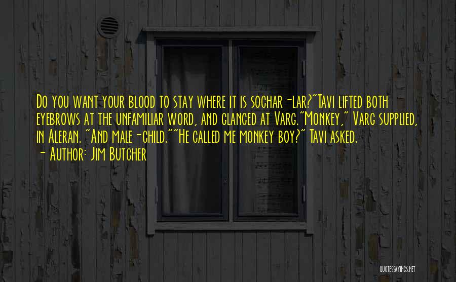 Jim Butcher Quotes: Do You Want Your Blood To Stay Where It Is Sochar-lar?tavi Lifted Both Eyebrows At The Unfamiliar Word, And Glanced