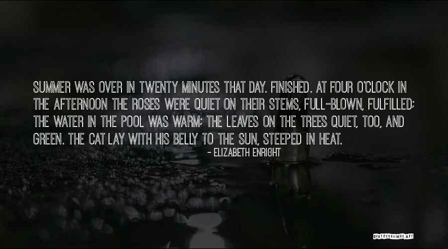84th Engineer Quotes By Elizabeth Enright 84th Engineer Quotes By Elizabeth Enright