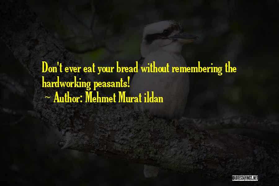 Mehmet Murat Ildan Quotes: Don't Ever Eat Your Bread Without Remembering The Hardworking Peasants!
