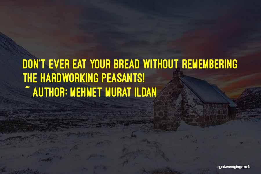 Mehmet Murat Ildan Quotes: Don't Ever Eat Your Bread Without Remembering The Hardworking Peasants!
