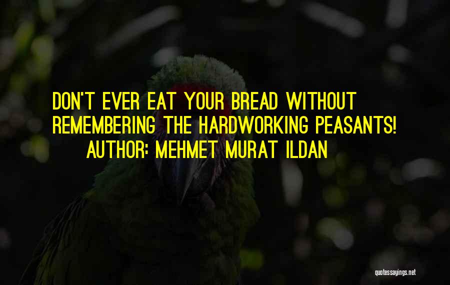 Mehmet Murat Ildan Quotes: Don't Ever Eat Your Bread Without Remembering The Hardworking Peasants!