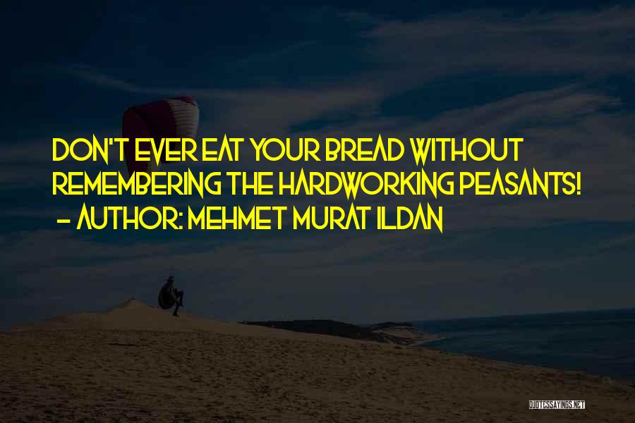 Mehmet Murat Ildan Quotes: Don't Ever Eat Your Bread Without Remembering The Hardworking Peasants!