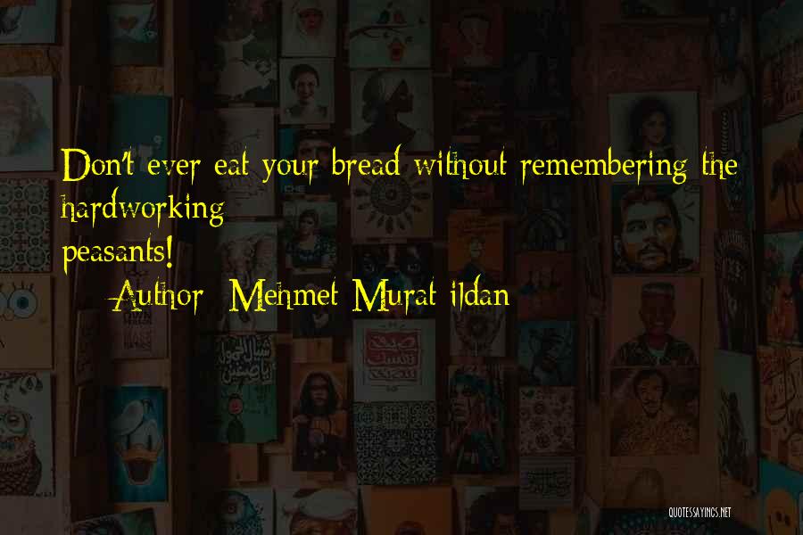 Mehmet Murat Ildan Quotes: Don't Ever Eat Your Bread Without Remembering The Hardworking Peasants!