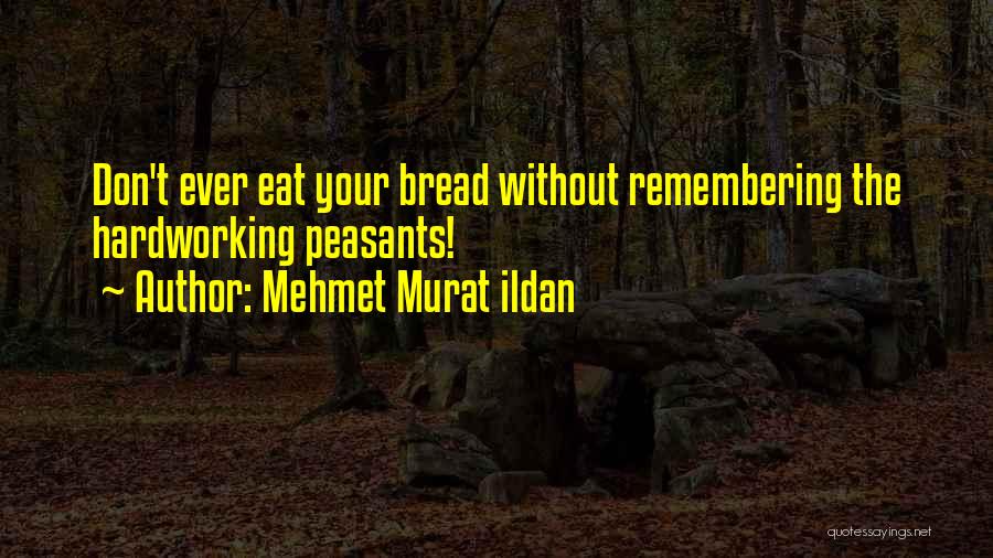Mehmet Murat Ildan Quotes: Don't Ever Eat Your Bread Without Remembering The Hardworking Peasants!