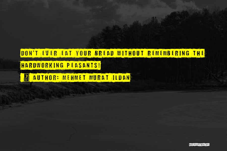 Mehmet Murat Ildan Quotes: Don't Ever Eat Your Bread Without Remembering The Hardworking Peasants!