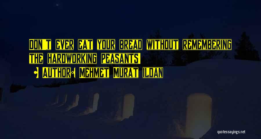 Mehmet Murat Ildan Quotes: Don't Ever Eat Your Bread Without Remembering The Hardworking Peasants!