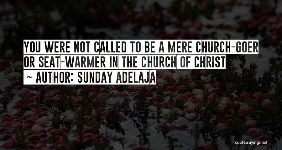 Sunday Adelaja Quotes: You Were Not Called To Be A Mere Church-goer Or Seat-warmer In The Church Of Christ