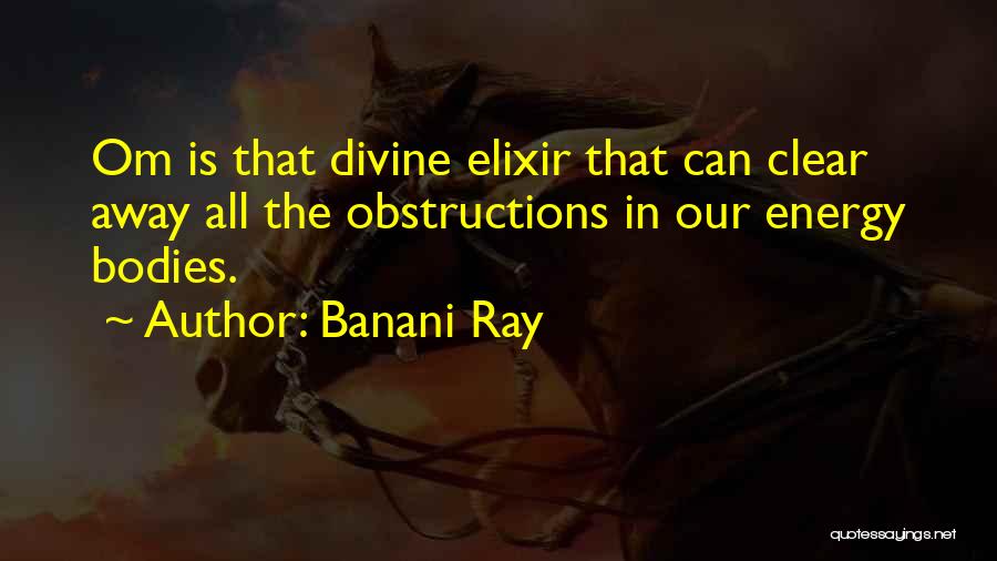 Banani Ray Quotes: Om Is That Divine Elixir That Can Clear Away All The Obstructions In Our Energy Bodies.