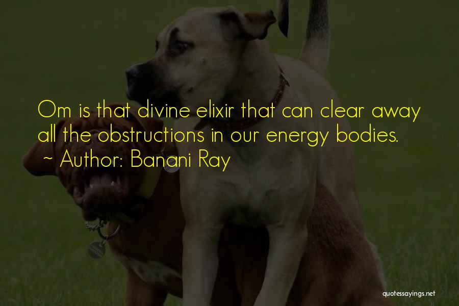 Banani Ray Quotes: Om Is That Divine Elixir That Can Clear Away All The Obstructions In Our Energy Bodies.