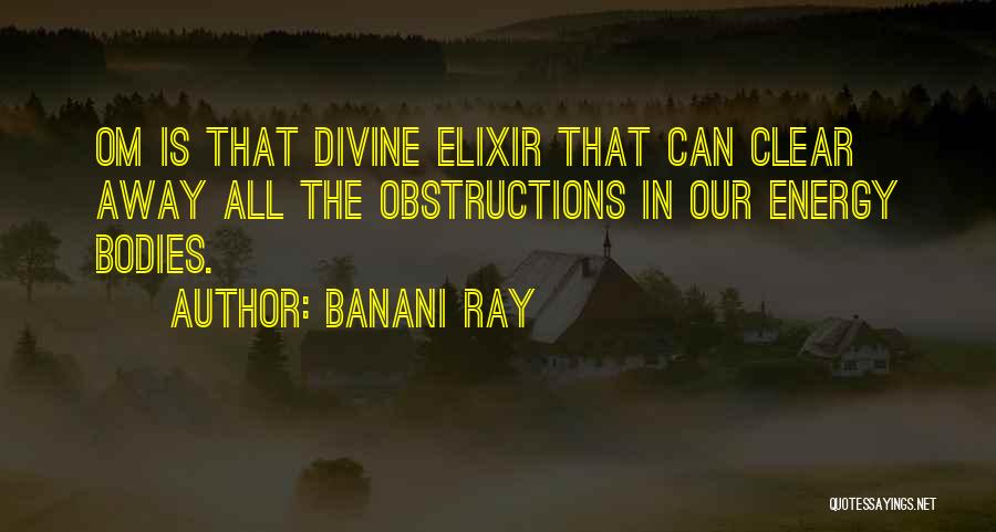 Banani Ray Quotes: Om Is That Divine Elixir That Can Clear Away All The Obstructions In Our Energy Bodies.