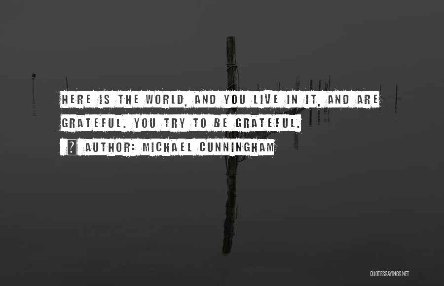 Michael Cunningham Quotes: Here Is The World, And You Live In It, And Are Grateful. You Try To Be Grateful.