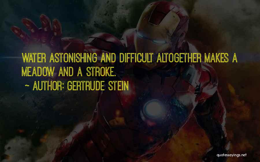 Gertrude Stein Quotes: Water Astonishing And Difficult Altogether Makes A Meadow And A Stroke.