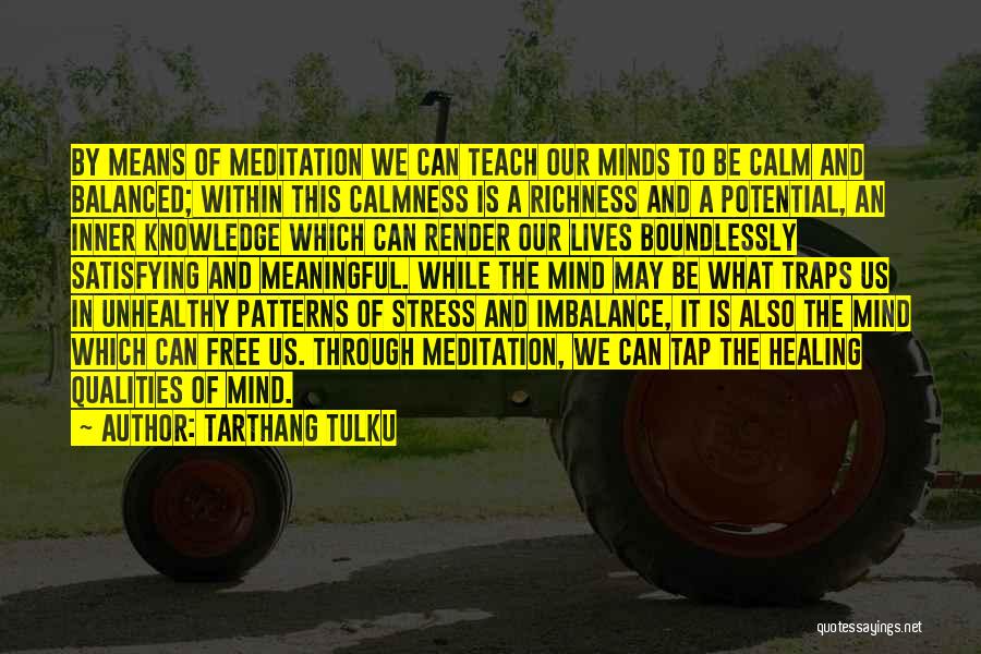 Tarthang Tulku Quotes: By Means Of Meditation We Can Teach Our Minds To Be Calm And Balanced; Within This Calmness Is A Richness