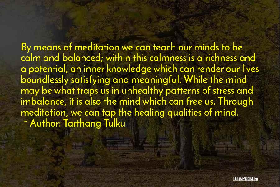 Tarthang Tulku Quotes: By Means Of Meditation We Can Teach Our Minds To Be Calm And Balanced; Within This Calmness Is A Richness