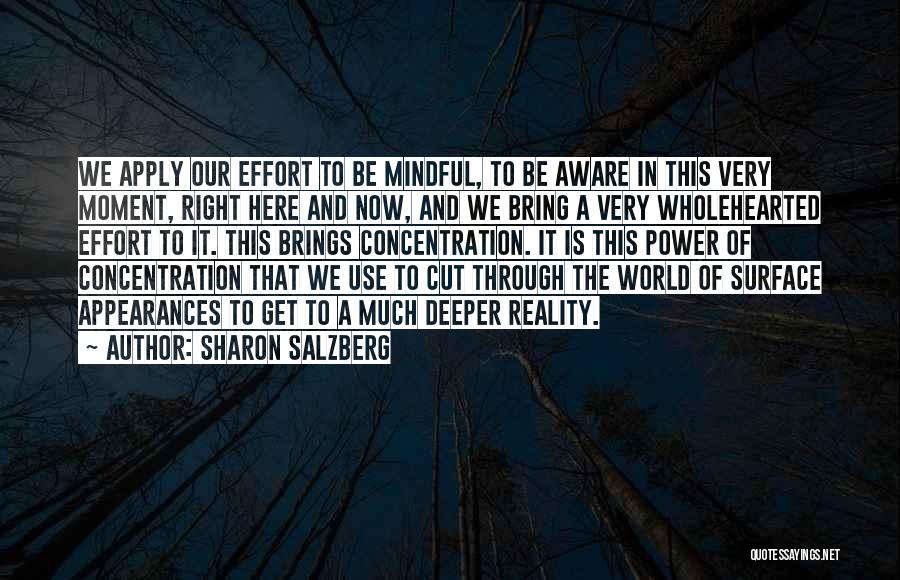 Sharon Salzberg Quotes: We Apply Our Effort To Be Mindful, To Be Aware In This Very Moment, Right Here And Now, And We