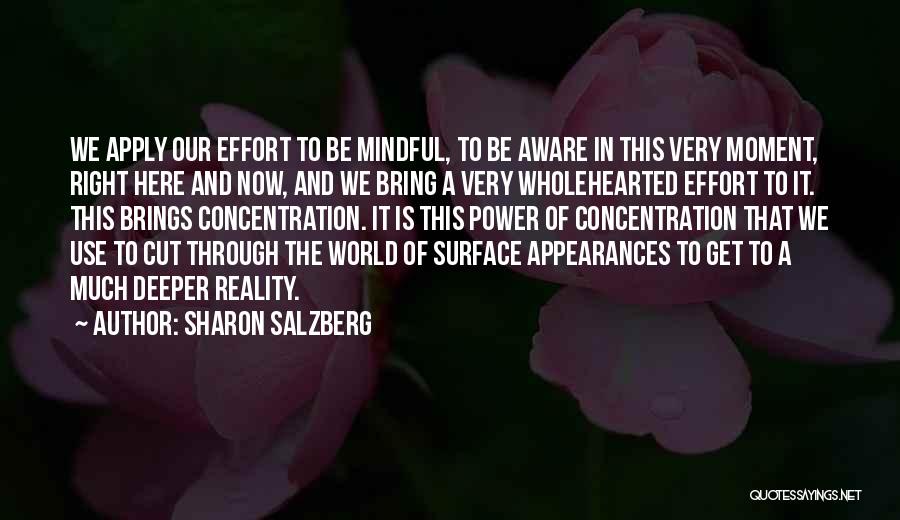 Sharon Salzberg Quotes: We Apply Our Effort To Be Mindful, To Be Aware In This Very Moment, Right Here And Now, And We