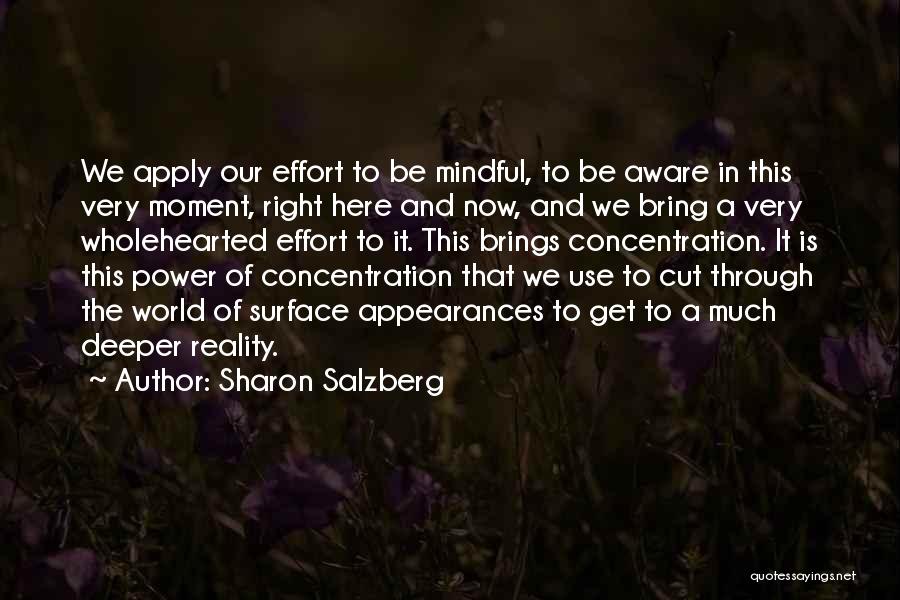 Sharon Salzberg Quotes: We Apply Our Effort To Be Mindful, To Be Aware In This Very Moment, Right Here And Now, And We