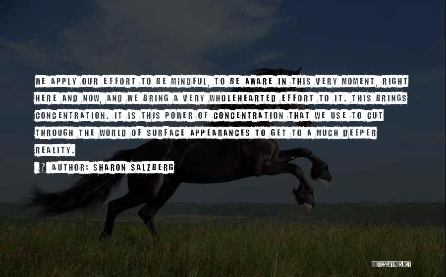 Sharon Salzberg Quotes: We Apply Our Effort To Be Mindful, To Be Aware In This Very Moment, Right Here And Now, And We