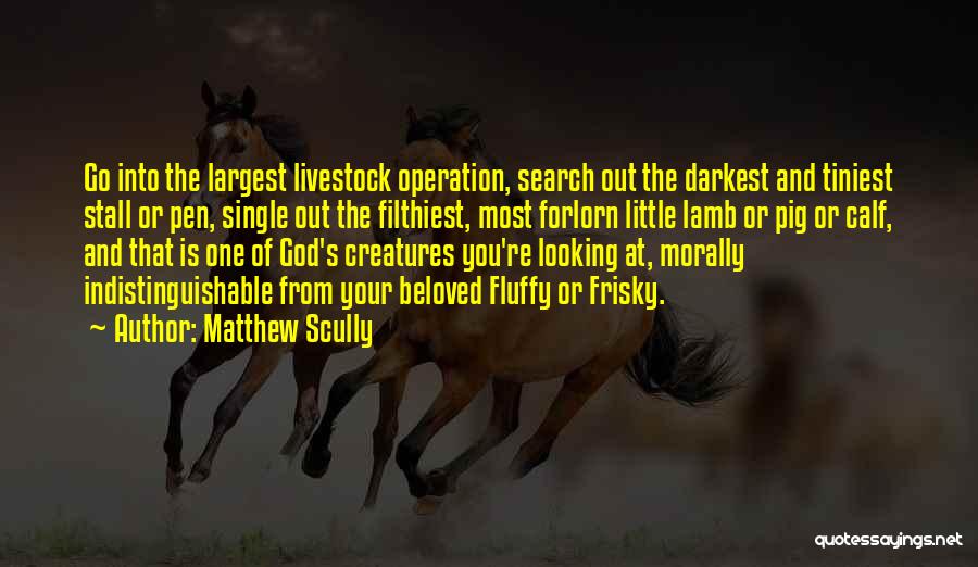 Matthew Scully Quotes: Go Into The Largest Livestock Operation, Search Out The Darkest And Tiniest Stall Or Pen, Single Out The Filthiest, Most