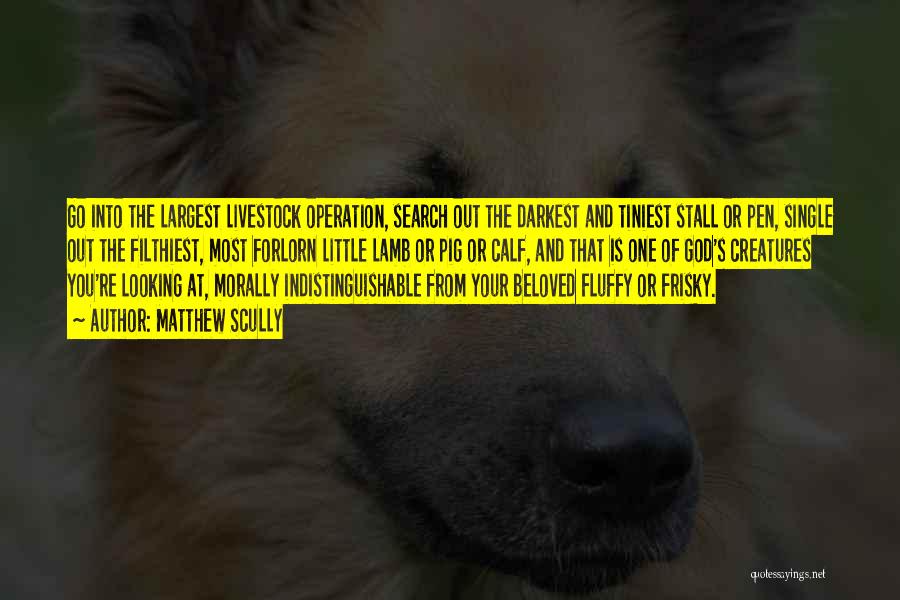 Matthew Scully Quotes: Go Into The Largest Livestock Operation, Search Out The Darkest And Tiniest Stall Or Pen, Single Out The Filthiest, Most