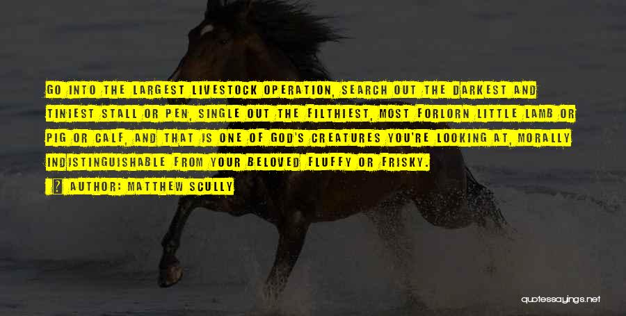 Matthew Scully Quotes: Go Into The Largest Livestock Operation, Search Out The Darkest And Tiniest Stall Or Pen, Single Out The Filthiest, Most