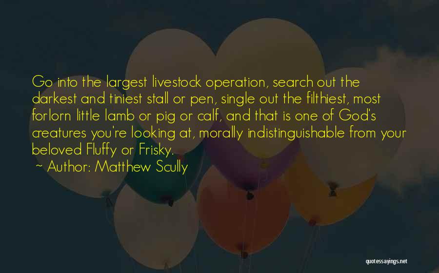 Matthew Scully Quotes: Go Into The Largest Livestock Operation, Search Out The Darkest And Tiniest Stall Or Pen, Single Out The Filthiest, Most