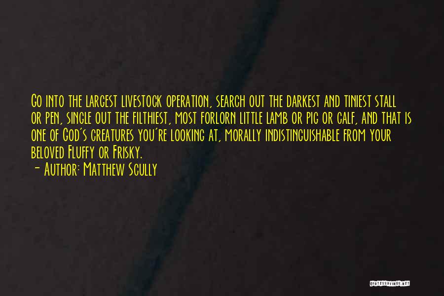 Matthew Scully Quotes: Go Into The Largest Livestock Operation, Search Out The Darkest And Tiniest Stall Or Pen, Single Out The Filthiest, Most