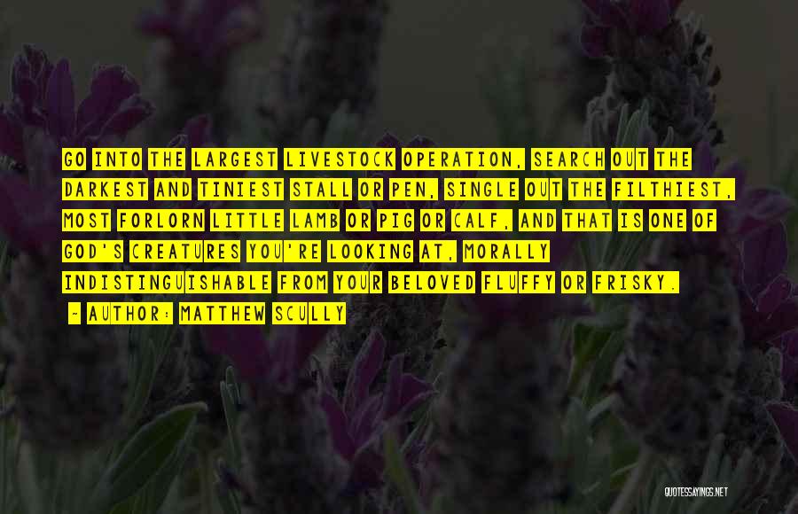 Matthew Scully Quotes: Go Into The Largest Livestock Operation, Search Out The Darkest And Tiniest Stall Or Pen, Single Out The Filthiest, Most