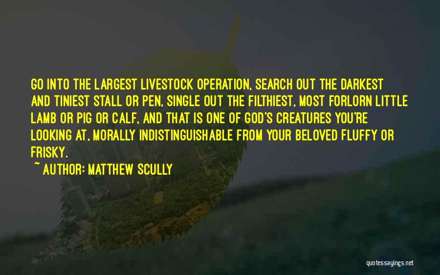 Matthew Scully Quotes: Go Into The Largest Livestock Operation, Search Out The Darkest And Tiniest Stall Or Pen, Single Out The Filthiest, Most