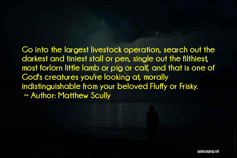Matthew Scully Quotes: Go Into The Largest Livestock Operation, Search Out The Darkest And Tiniest Stall Or Pen, Single Out The Filthiest, Most
