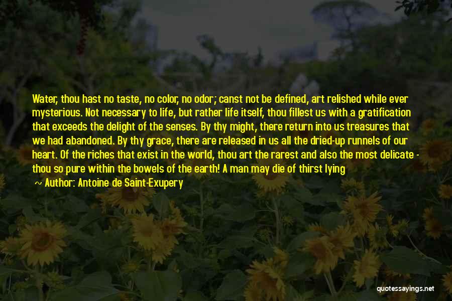 Antoine De Saint-Exupery Quotes: Water, Thou Hast No Taste, No Color, No Odor; Canst Not Be Defined, Art Relished While Ever Mysterious. Not Necessary