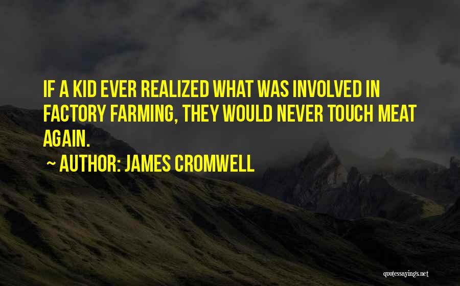 James Cromwell Quotes: If A Kid Ever Realized What Was Involved In Factory Farming, They Would Never Touch Meat Again.