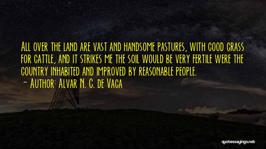 Alvar N. C. De Vaca Quotes: All Over The Land Are Vast And Handsome Pastures, With Good Grass For Cattle, And It Strikes Me The Soil