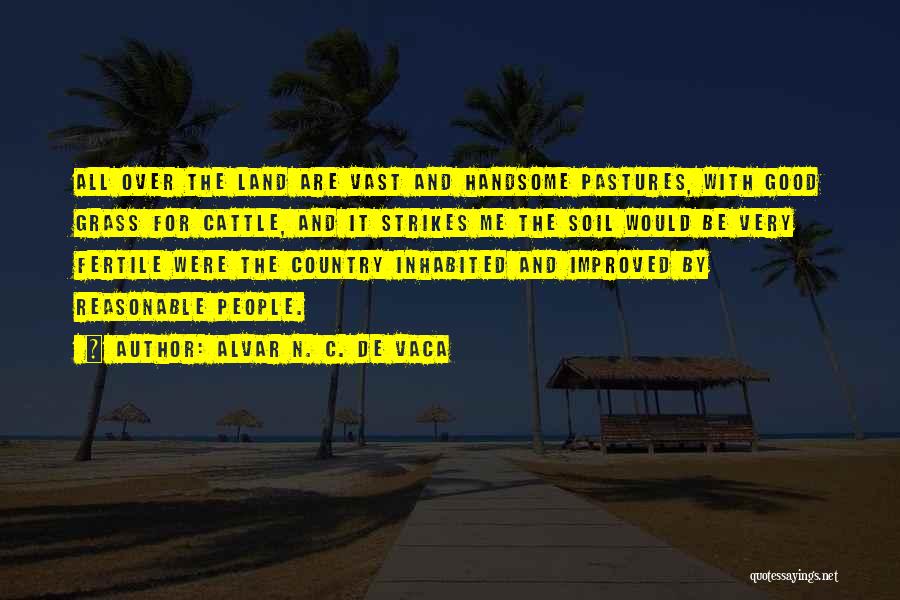 Alvar N. C. De Vaca Quotes: All Over The Land Are Vast And Handsome Pastures, With Good Grass For Cattle, And It Strikes Me The Soil