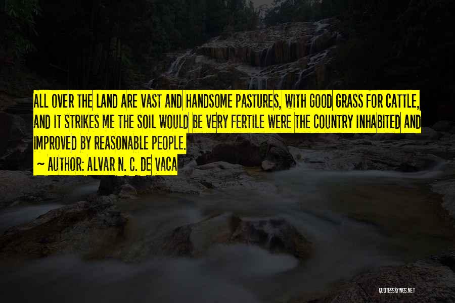 Alvar N. C. De Vaca Quotes: All Over The Land Are Vast And Handsome Pastures, With Good Grass For Cattle, And It Strikes Me The Soil