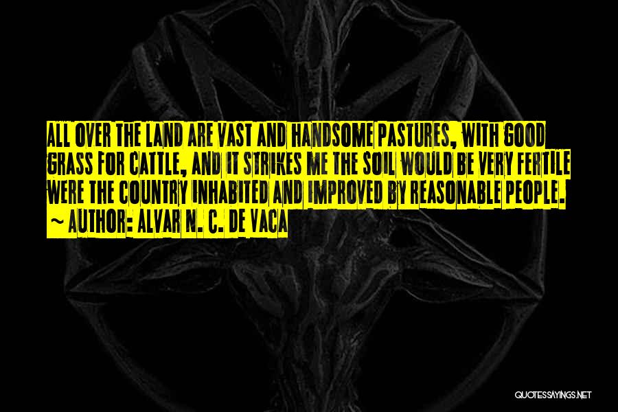 Alvar N. C. De Vaca Quotes: All Over The Land Are Vast And Handsome Pastures, With Good Grass For Cattle, And It Strikes Me The Soil