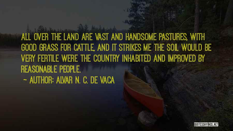 Alvar N. C. De Vaca Quotes: All Over The Land Are Vast And Handsome Pastures, With Good Grass For Cattle, And It Strikes Me The Soil