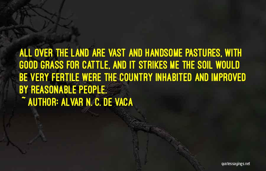 Alvar N. C. De Vaca Quotes: All Over The Land Are Vast And Handsome Pastures, With Good Grass For Cattle, And It Strikes Me The Soil