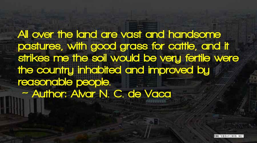 Alvar N. C. De Vaca Quotes: All Over The Land Are Vast And Handsome Pastures, With Good Grass For Cattle, And It Strikes Me The Soil