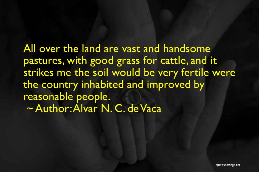 Alvar N. C. De Vaca Quotes: All Over The Land Are Vast And Handsome Pastures, With Good Grass For Cattle, And It Strikes Me The Soil