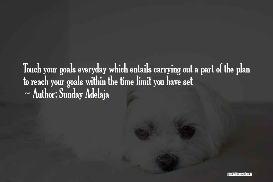Sunday Adelaja Quotes: Touch Your Goals Everyday Which Entails Carrying Out A Part Of The Plan To Reach Your Goals Within The Time