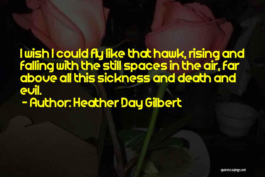 Heather Day Gilbert Quotes: I Wish I Could Fly Like That Hawk, Rising And Falling With The Still Spaces In The Air, Far Above