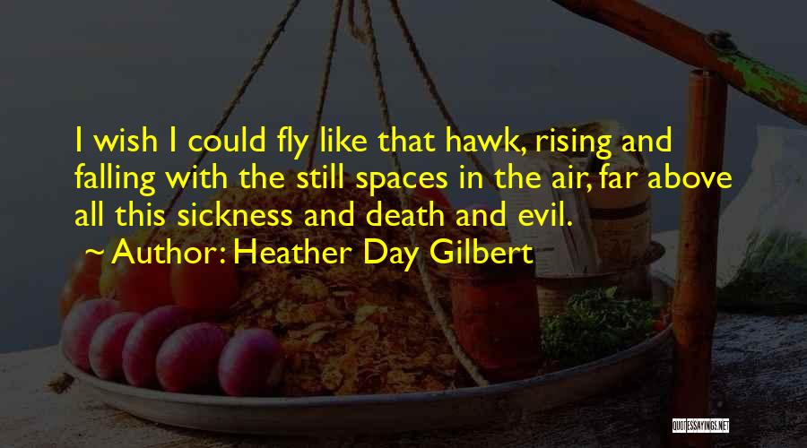 Heather Day Gilbert Quotes: I Wish I Could Fly Like That Hawk, Rising And Falling With The Still Spaces In The Air, Far Above