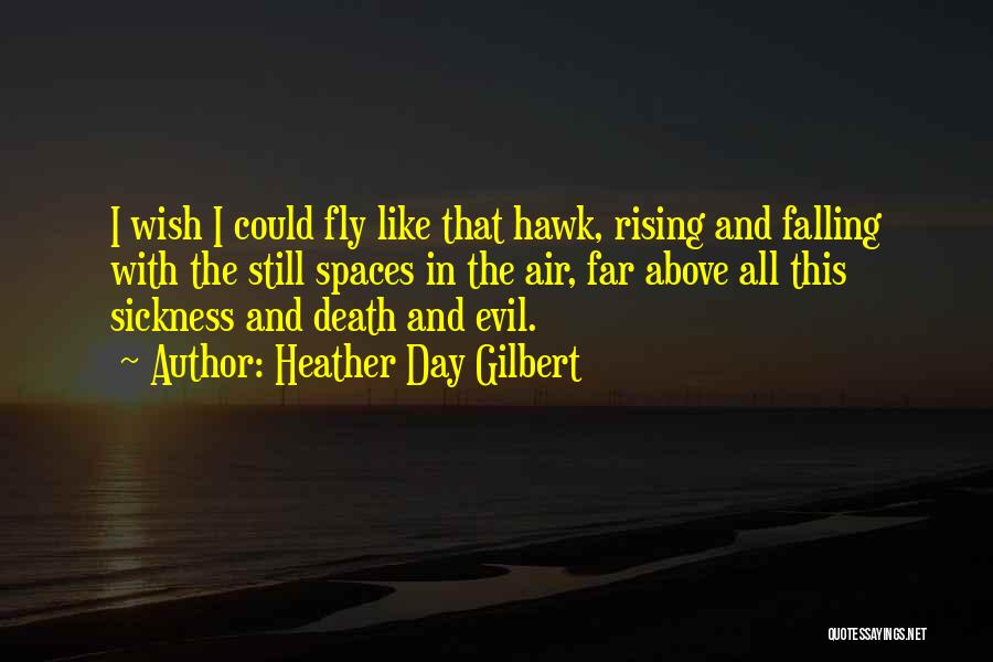 Heather Day Gilbert Quotes: I Wish I Could Fly Like That Hawk, Rising And Falling With The Still Spaces In The Air, Far Above