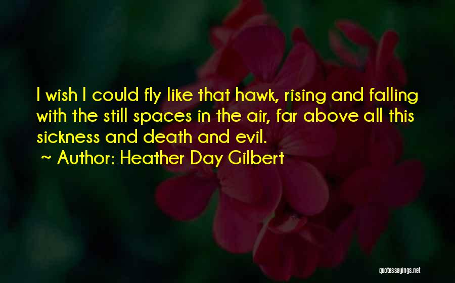 Heather Day Gilbert Quotes: I Wish I Could Fly Like That Hawk, Rising And Falling With The Still Spaces In The Air, Far Above