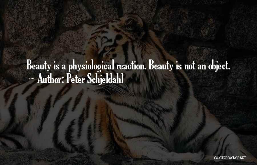 Peter Schjeldahl Quotes: Beauty Is A Physiological Reaction. Beauty Is Not An Object.