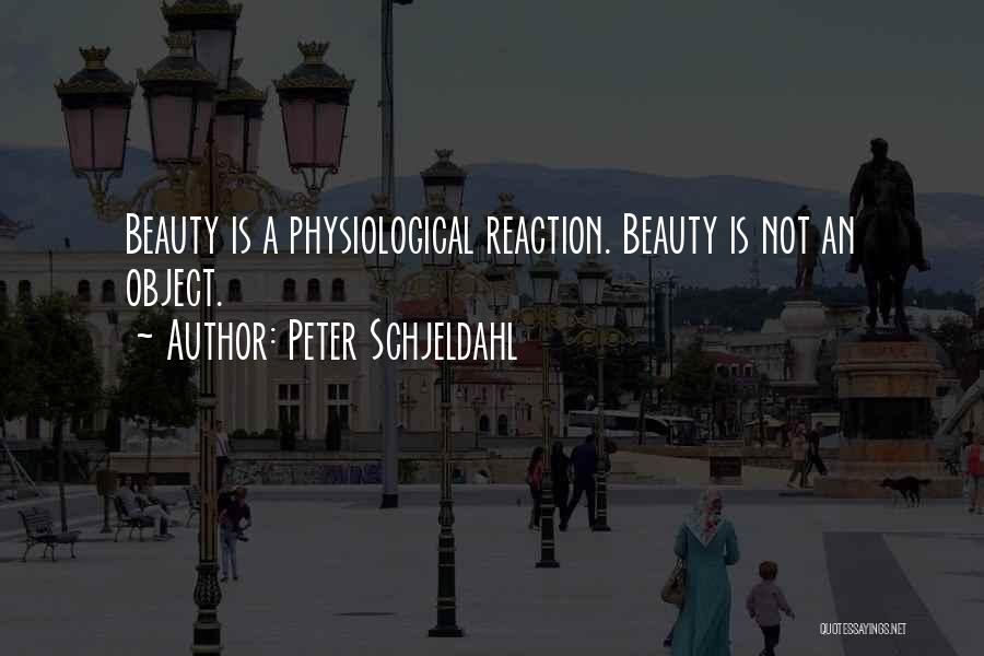 Peter Schjeldahl Quotes: Beauty Is A Physiological Reaction. Beauty Is Not An Object.