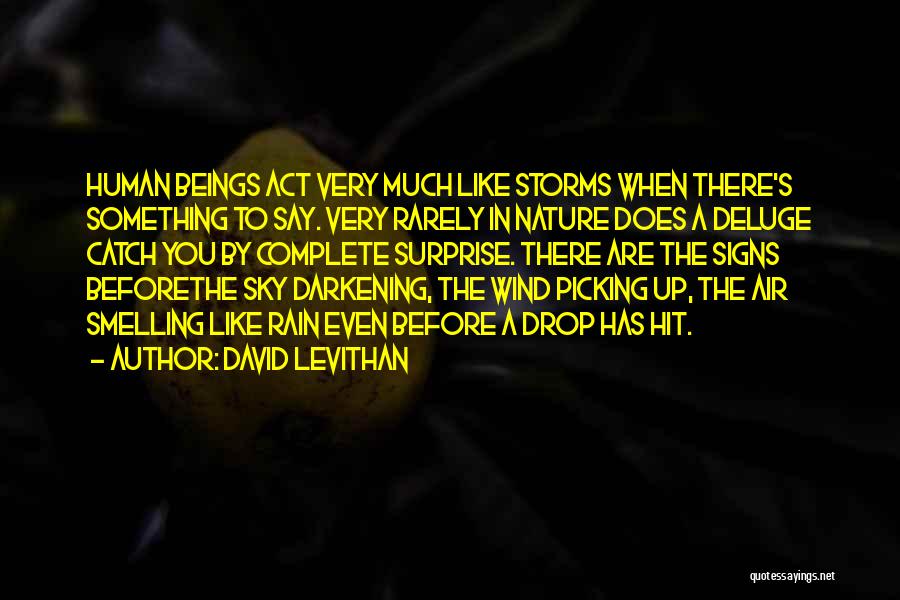 David Levithan Quotes: Human Beings Act Very Much Like Storms When There's Something To Say. Very Rarely In Nature Does A Deluge Catch