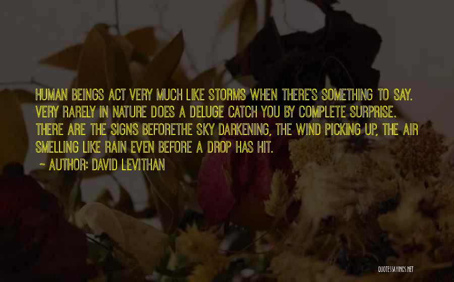 David Levithan Quotes: Human Beings Act Very Much Like Storms When There's Something To Say. Very Rarely In Nature Does A Deluge Catch